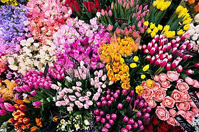 CDPR警告：网上《巫师4》Beta测试邀请函是骗局