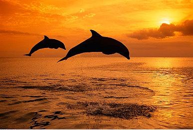 《隧道》Steam上线 行走类型恐怖冒险